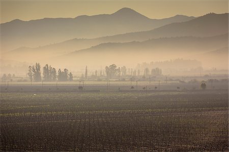 Scenic view of vineyards in Casablanca, Provincia de Valparaiso, Chile Stock Photo - Rights-Managed, Code: 700-07203975