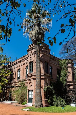 simsearch:700-07237756,k - Building and palm tree, Botanical Gardens, Buenos Aires, Argentina Stock Photo - Rights-Managed, Code: 700-07237960