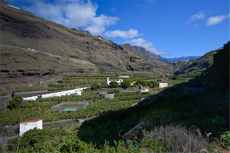 Valley with Banana Plantations, Tazacorte, La Palma, Santa Cruz de Tenerife, Canary Islands Foto de stock - Con derechos protegidos, Código: 700-07355337