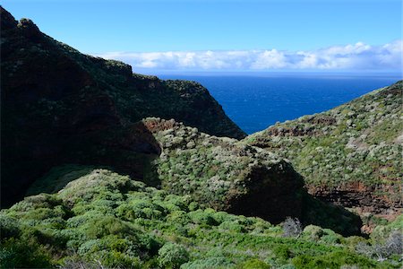 Vegetation on Hill against Sea near Tijarafe, La Palma, Santa Cruz de Tenerife, Canary Islands Foto de stock - Con derechos protegidos, Código: 700-07355355
