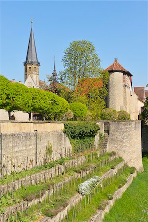 simsearch:700-04424890,k - Weikersheim Castle Garden and St George Church in background, Weikersheim, Baden Wurttemberg, Germany Stock Photo - Rights-Managed, Code: 700-07564080