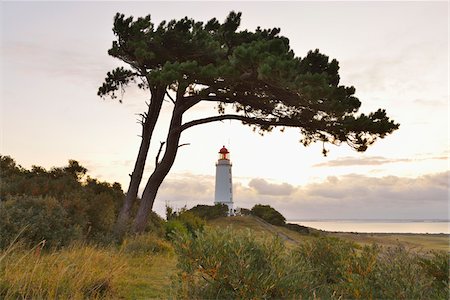 Lighthouse on the Dornbusch in the Morning, Summer, Baltic Island of Hiddensee, Baltic Sea, Western Pomerania, Germany Stock Photo - Rights-Managed, Code: 700-07599829