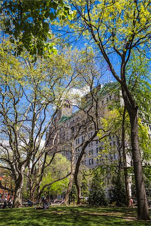 simsearch:700-07744961,k - Washington Square Park, New York City, New York, USA Photographie de stock - Rights-Managed, Code: 700-07745159