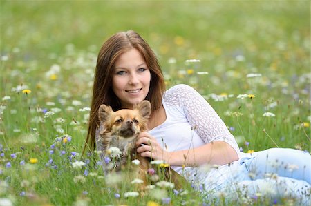 pet owners and their pets - Close-up of a young woman with her chihuahua dog in a flower meadow in summer, Upper Palatinate, Bavaria, Germany Stock Photo - Rights-Managed, Code: 700-07760207