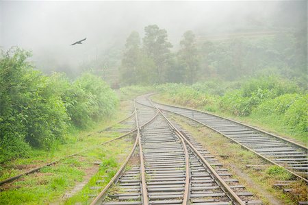 simsearch:700-07784163,k - View from Panorma Train Window of Train Tracks and Bird Flying into Fog, on Route from Ella to Kandy, Sri Lanka, Stock Photo - Rights-Managed, Code: 700-07784166