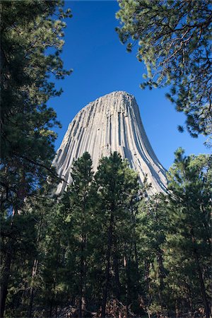 simsearch:700-07802623,k - Devils Tower, Bear Lodge Mountains, Crook County, Wyoming, USA Foto de stock - Con derechos protegidos, Código: 700-07802604