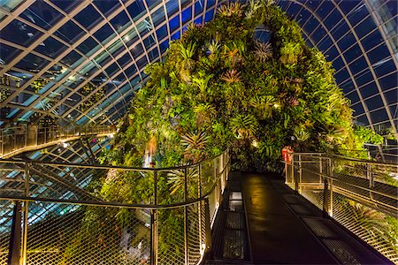 singapore garden plants - Walkway at Cloud Forest conservatory, Gardens by the Bay, Singapore Stock Photo - Rights-Managed, Code: 700-07802669