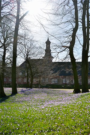 simsearch:400-05044143,k - Castle Husum with crocus and sun in spring, Husum, Schlosspark, Schleswig-Holstein, Germany Stock Photo - Rights-Managed, Code: 700-07802709