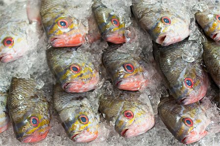 Fish on ice in a food market, Phnom Penh, Cambodia, Indochina, Southeast Asia, Asia Stock Photo - Rights-Managed, Code: 700-07803133