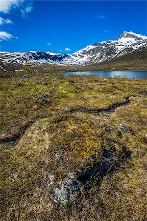 Ersfjordbotn on the island of Kvaloya, near Tromsoe, Troms, Northern Norway, Norway Stock Photo - Rights-Managed, Code: 700-07849689