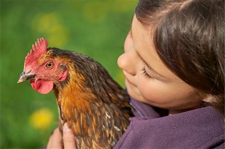 Close-up of Happy Girl with Chicken (Gallus gallus domesticus) in Spring, Upper Palatinate, Bavaria, Germany Foto de stock - Con derechos protegidos, Código: 700-08059856