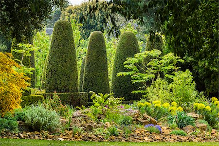 south west england - Hidcote Manor Garden, Hidcote Bartrim, near Chipping Campden, Gloucestershire, The Cotswolds, England, United Kingdom Stock Photo - Rights-Managed, Code: 700-08122162