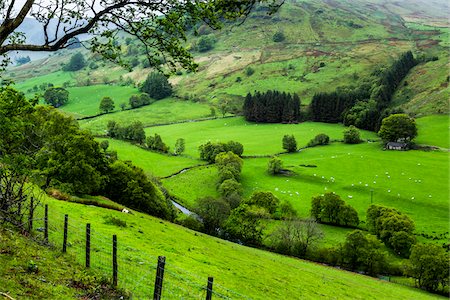 simsearch:700-08122229,k - Farmland near Llanuwchllyn, Gwynedd, Wales, United Kingdom Foto de stock - Con derechos protegidos, Código: 700-08122281