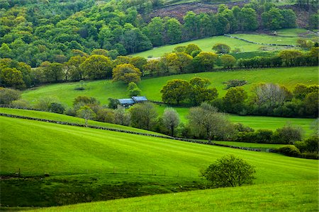 simsearch:700-08122229,k - Farmland near Trawsfynydd, Gwynedd, Wales, United Kingdom Photographie de stock - Rights-Managed, Code: 700-08122282