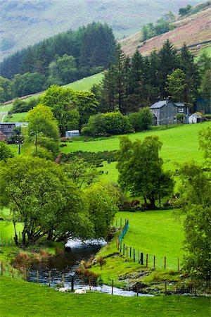 simsearch:700-08122229,k - Farmland near Llanuwchllyn, Gwynedd, Wales, United Kingdom Photographie de stock - Rights-Managed, Code: 700-08122283