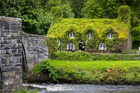 pictures of windows with plants - Tu Hwnt i'r Bont and Pont Fawr, Llanrwst, Conwy, Wales, United Kingdom Stock Photo - Rights-Managed, Code: 700-08122298