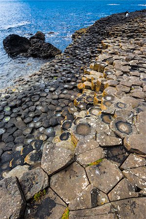 simsearch:700-03016994,k - Basalt Columns at Giant's Causeway, near Bushmills, County Antrim, Northern Ireland, United Kingdom Stock Photo - Rights-Managed, Code: 700-08146160