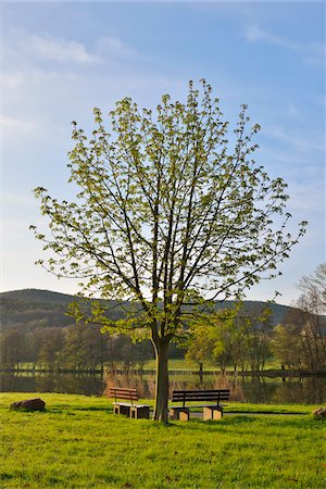 simsearch:600-04424934,k - Chestnut Tree with Benches by River Main in Spring, Collenberg, Lower Franconia, Spessart, Miltenberg District, Bavaria, Germany Stock Photo - Rights-Managed, Code: 700-08146255