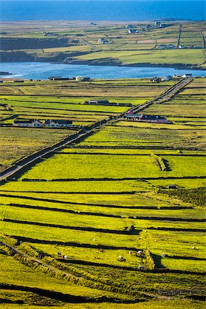 simsearch:700-02235669,k - Road and scenic overview of farmland, Portmagee, along the Skellig Coast on the Ring of Kerry, County Kerry, Ireland Stock Photo - Rights-Managed, Code: 700-08146397