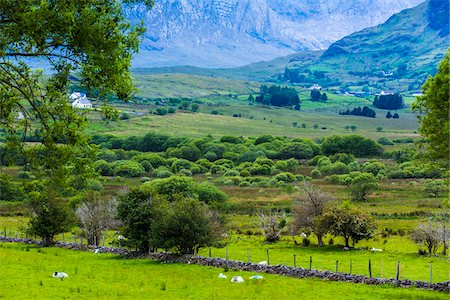 Scenic view of farmland, Maum Valley, County Galway, Ireland Stock Photo - Rights-Managed, Code: 700-08146479