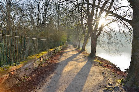 simsearch:600-07945357,k - Riverbank Path with Chestnut Trees and Sun, Backhausteich, Jagdschloss Kranichstein, Darmstadt, Hesse, Germany Stock Photo - Rights-Managed, Code: 700-08146508