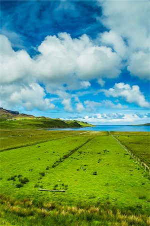 simsearch:700-08122229,k - Staffin, Trotternish, Isle of Skye, Scotland, United Kingdom Photographie de stock - Rights-Managed, Code: 700-08167268