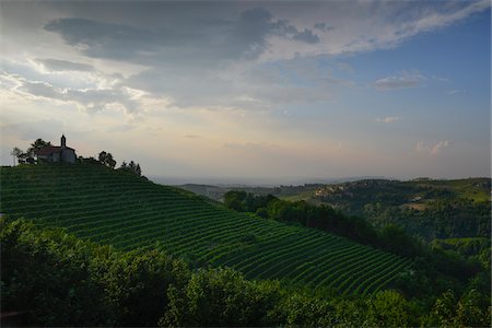 simsearch:700-00050296,k - Chapel at top of hill at sunset, vineyard, Dogliani, Cuneo, Piedmont, Italy Stock Photo - Rights-Managed, Code: 700-08169157