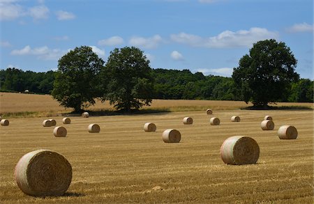 simsearch:6109-07498113,k - Bales of hay in field, farmland near Moulins Englibert, Nievre, France Stock Photo - Rights-Managed, Code: 700-08169163