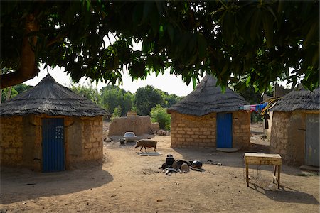 swine - Courtyard with houses in village with pig walking by, near Gaoua, Poni Province, Burkina Faso Stock Photo - Rights-Managed, Code: 700-08169182