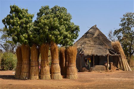 dry - Reed bundles in front of house, near Banfora, Comoe Province, Burkina Faso Stock Photo - Rights-Managed, Code: 700-08169183