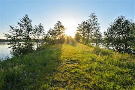 symmetrical - Pathway with Sun in Spring, Niedernberg, Miltenberg-District, Churfranken, Franconia, Bavaria, Germany Stock Photo - Rights-Managed, Code: 700-08225315