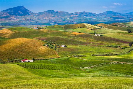 Scenic vista of farmland dotted with buildings with mountain range in the background near Calatafimi-Segesta in the Province of Trapani in Sicily, Italy Stock Photo - Rights-Managed, Code: 700-08701971