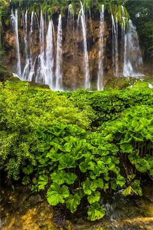 Waterfalls and lush vegetation at the Plitvice Lakes National Park, Croatia Stock Photo - Rights-Managed, Code: 700-08765490