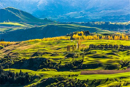 Farmland with sunlit fields in the Wakatipu Basin near Queenstown in the Otago Region of New Zealand Stock Photo - Rights-Managed, Code: 700-08765556