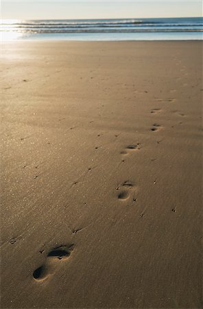 Footprints in the sand on the beach at sunset with the Atlantic Ocean in the background at Royan, France Stock Photo - Rights-Managed, Code: 700-08821944