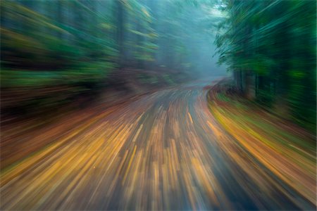 Blurred motion of driving on a wet paved road through the forest at dawn in autumn at Neuschoenau in Bavaria, Germany Foto de stock - Direito Controlado, Número: 700-08916198