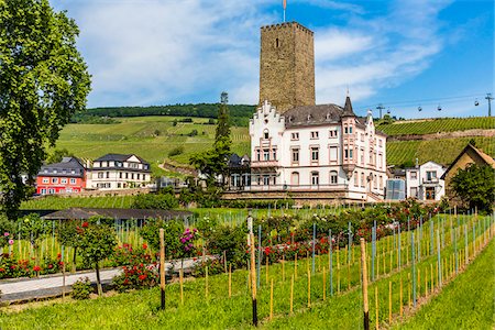 Vinyards and grounds of the Boosenburg Castle at Rudesheim in the Rhine Valley in Germany Stock Photo - Rights-Managed, Code: 700-08973592