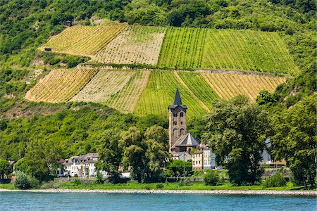 simsearch:400-04015133,k - The village of Wellmich with St Martin Church along the Rhine between Rudesheim and Koblenz, Germany Stock Photo - Rights-Managed, Code: 700-08973625