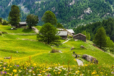 Mountain cabins and hiking trail in the village of Zmutt near Zermatt in Switzerland Stock Photo - Rights-Managed, Code: 700-08986341