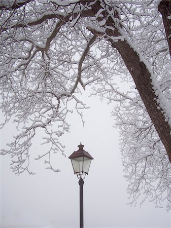 Top of lamp post and snow covered tree branches on a foggy day in winter in a mountain village in the Maira Valley, Piedmont, Italy Stock Photo - Rights-Managed, Code: 700-09035387