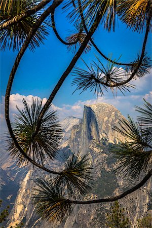 simsearch:700-07802605,k - Half Dome rock formation viewed from Glacier Point through pine tree branches in the Yosemite Valley in Yosemite National Park, California, USA Stock Photo - Rights-Managed, Code: 700-09052909