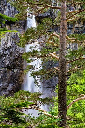 Looking through trees at waterfall in the Ordesa y Monte Perdido National Park in the Pyrenees in Huesca Province in Aragon, Spain Foto de stock - Con derechos protegidos, Código: 700-09226517