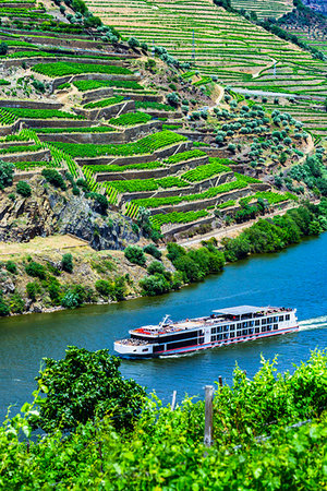 simsearch:700-00050296,k - Tour boat along the Douro River in the Douro River Valley, Norte, Portugal Stock Photo - Rights-Managed, Code: 700-09226669