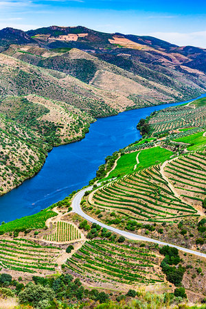 fertile - View of the Douro River Valley from the Museu do Coa, Vila Nova de Foz Coa, Norte, Portugal Stock Photo - Rights-Managed, Code: 700-09226771