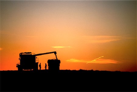simsearch:600-00013556,k - Silhouette of Harvesting at Sunset Stock Photo - Rights-Managed, Code: 700-00009851