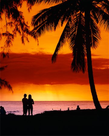 simsearch:700-00021491,k - Silhouette d'un Couple sur la plage au coucher du soleil, Barbade Photographie de stock - Rights-Managed, Code: 700-00000239