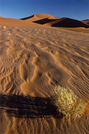 simsearch:873-06440466,k - Sossusvlei Namibia Stock Photo - Rights-Managed, Code: 700-00001665