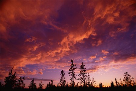 simsearch:700-00016300,k - Silhouette of Trees with Altocumulus Clouds Alberta, Canada Stock Photo - Rights-Managed, Code: 700-00001718