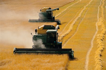 simsearch:700-05973575,k - La récolte de blé près de Sainte-Agathe, Manitoba, Canada Photographie de stock - Rights-Managed, Code: 700-00003996