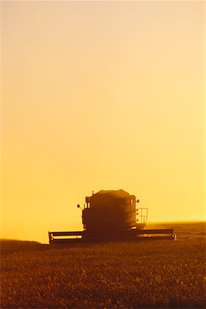 simsearch:600-00013556,k - Harvesting Wheat at Sunset Near St. Agathe, Manitoba, Canada Stock Photo - Rights-Managed, Code: 700-00003999